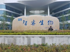 刻字图片2