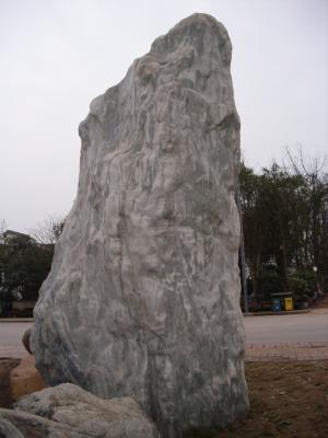 ç»¿è±çç³